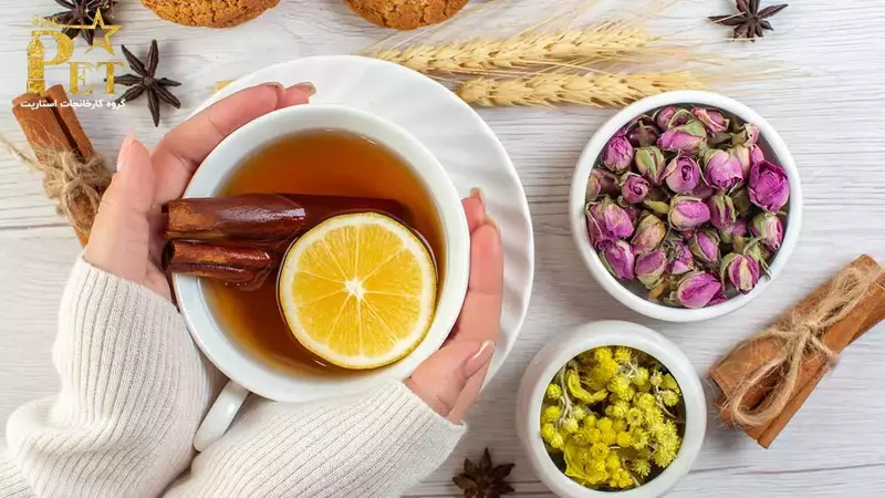 دستور نوشیدنی گرم : چای مخصوص | استارپت