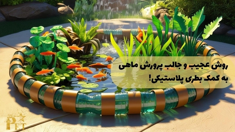 آشنایی با روش عجیب پرورش ماهی به کمک بطری پلاستیکی