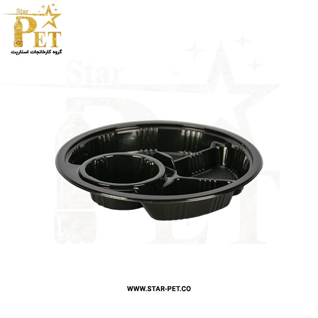 ظرف یکبار مصرف چهار خانه پروین